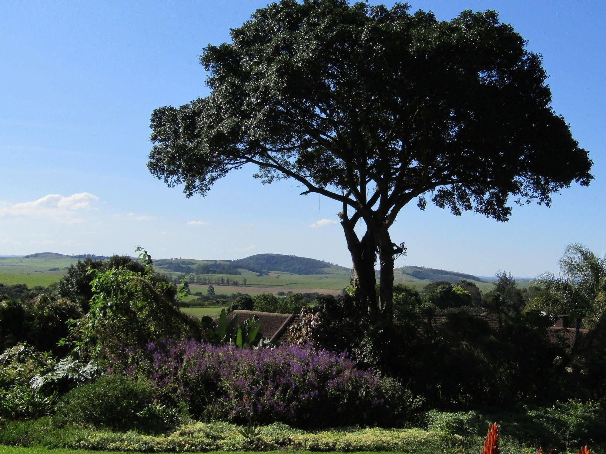 Hotel Sugar Hill Manor Eshowe Esterno foto